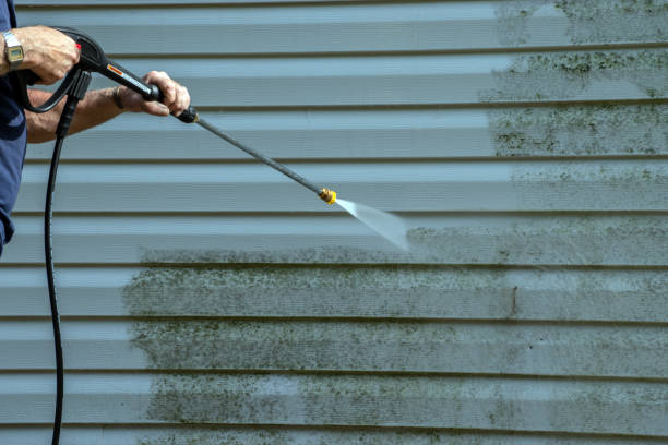 Best Affordable Pressure Washing  in Union, MS