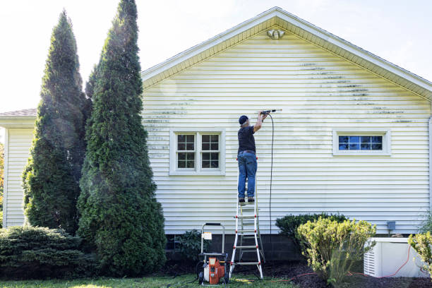 Best Deck Cleaning Services  in Union, MS